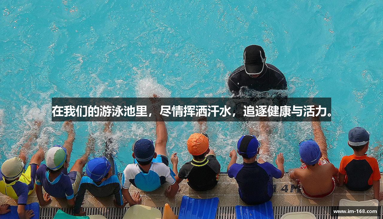 IM电竞网页版